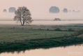 072_Biebrza - kwiecien 2012